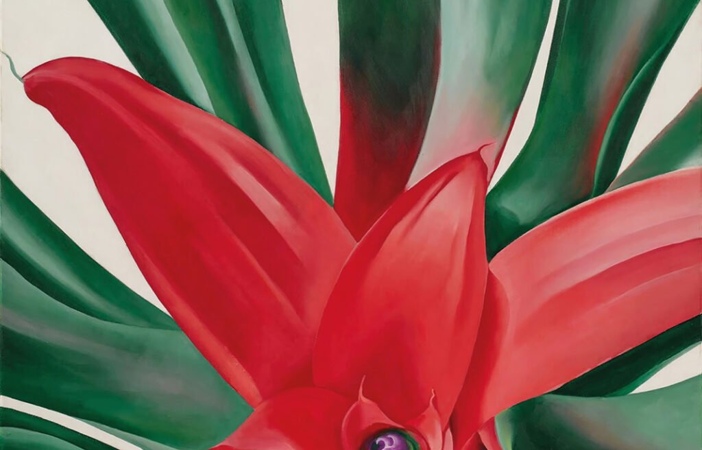 A Beginner’s Guide to Collecting International Art